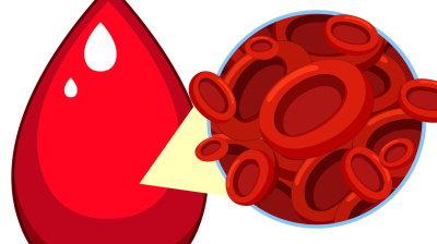 Andrej Medveď - Dôležité fakty, ktoré by ste mali vedieť ak trpíte nedostatkom železa