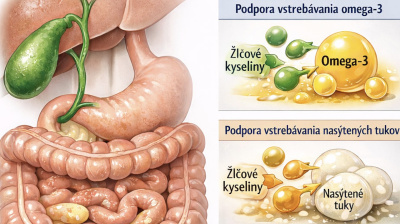 Andrej Medveď - Ak vám omega-3 "nefungujú", problém nemusí byť v nich. Môže byť v žlči.