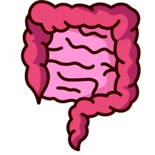 - Ulcerózna kolitída