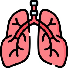 - Pľúcne chlamýdie