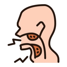 - Mandle – nosné, krčné