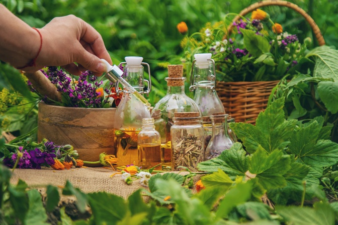 Andrej Medveď - MikroVeda LIFE spája silu probiotík a fermentovaných liečivých rastlín